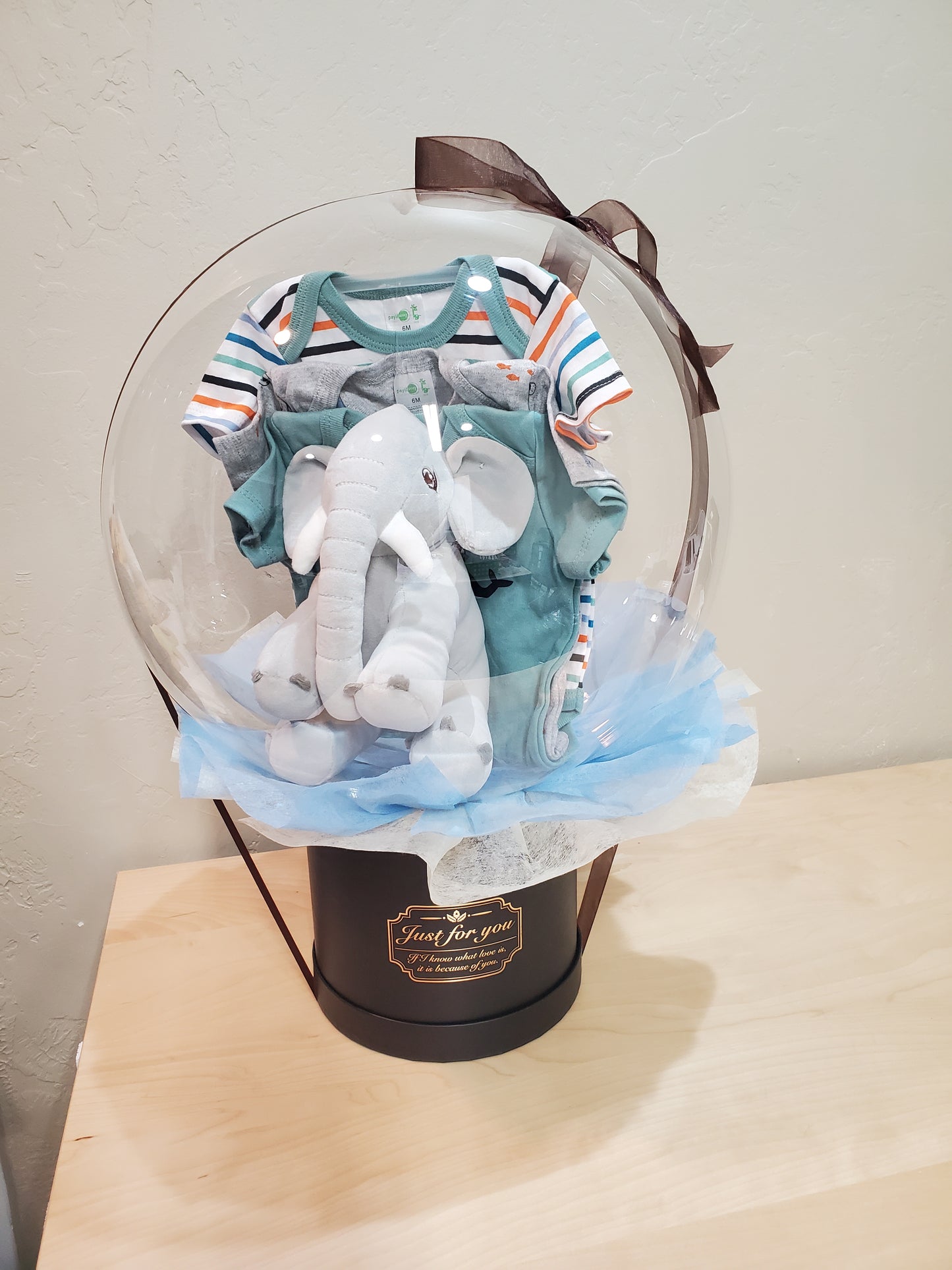 Baby Onesies/Baby Shower Gift