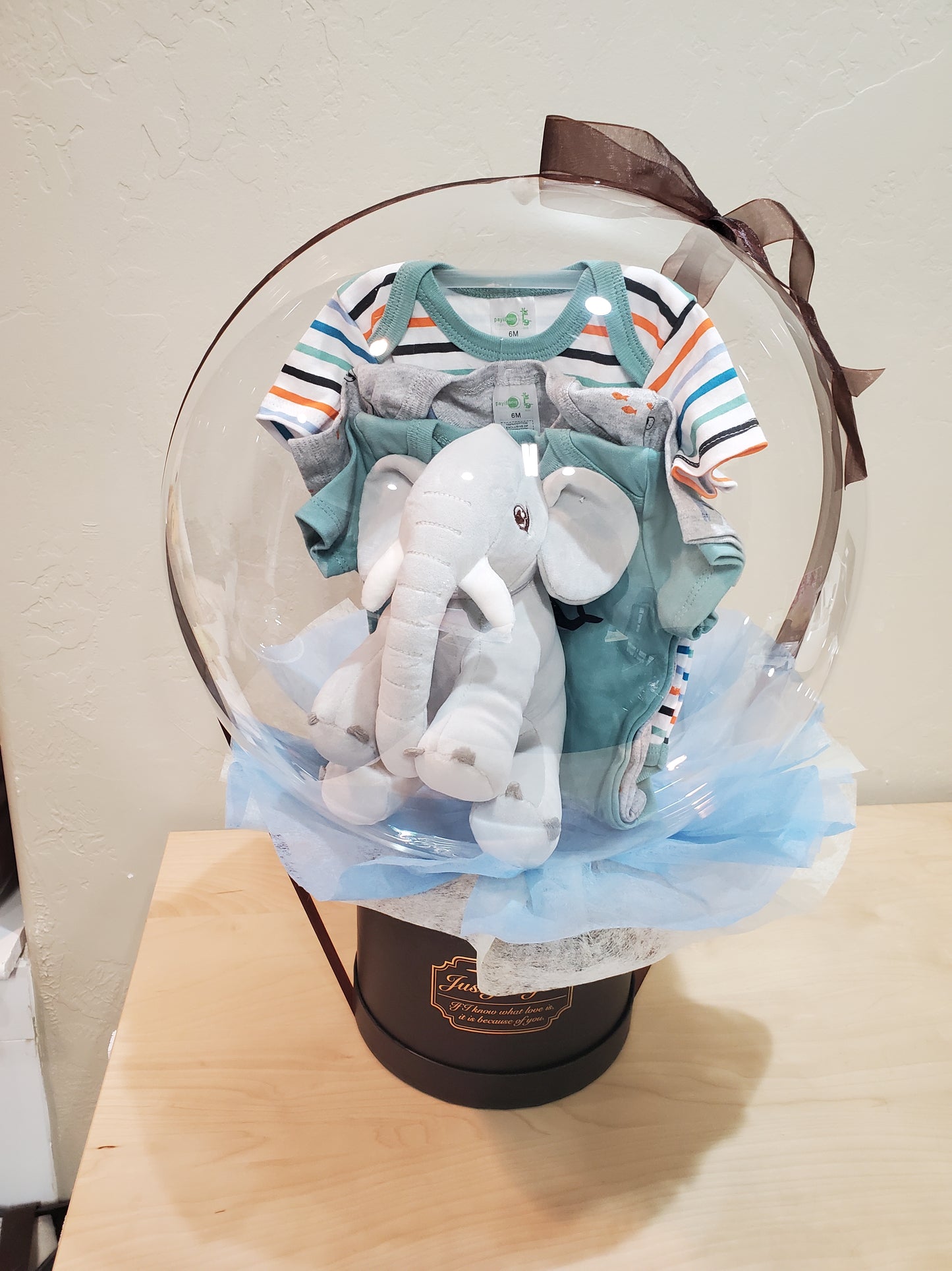 Baby Onesies/Baby Shower Gift