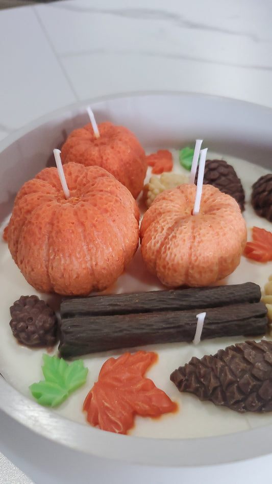 Pumpkin/ House made Vessel